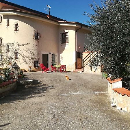 Casa Fra Gli Ulivi Di Giuseppe Guest House Sonnino Luaran gambar